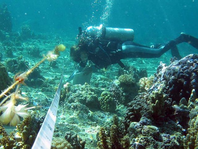 Diving & Boating Safety